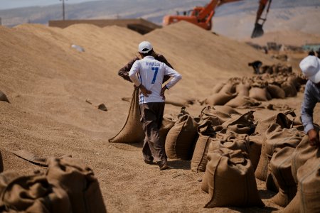 Ezidi workers at the barley and wheat depot in Shingal (Sinjar) packing grains into sacks in summer of 2019 09