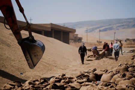 Ezidi workers and administrators packing grain in summer of 2019 at the grain processing center in Shingal 21