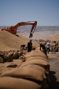 Ezidi workers at the barley and wheat depot in Shingal (Sinjar) packing grains into sacks in summer of 2019 11