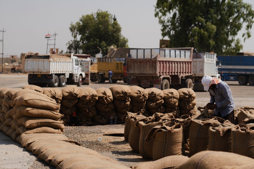 Ezidi workers and administrators packing grain in summer of 2019 at the grain processing center in Shingal 03
