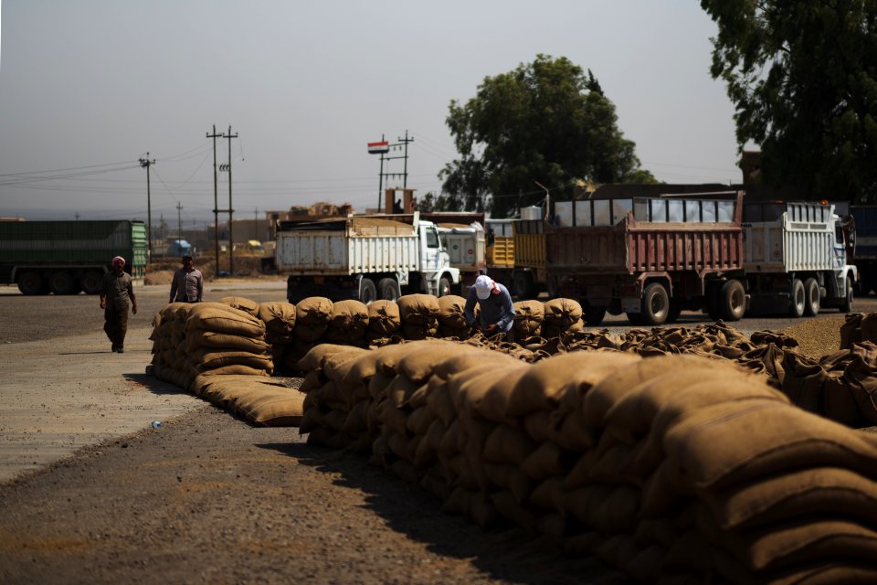 Ezidi workers and administrators packing grain in summer of 2019 at the grain processing center in Shingal 13