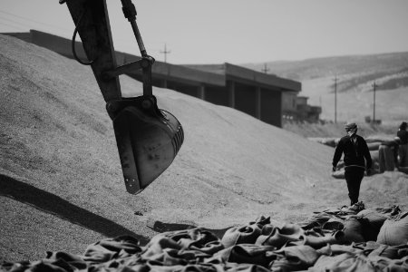 Ezidi workers and administrators packing grain in summer of 2019 at the grain processing center in Shingal 20