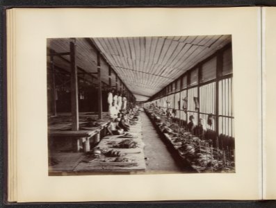 Fabriekshal verwerking tabak, Bestanddeelnr 852 16