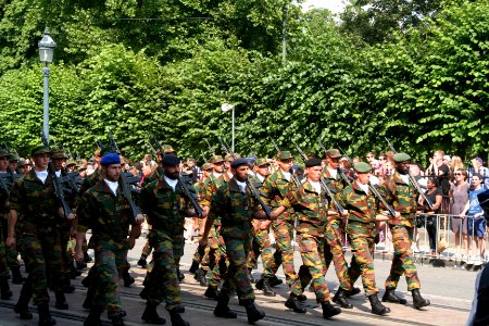 Fête nationale belge à Bruxelles le 21 juillet 2016 - Armée belge (Défense) 06