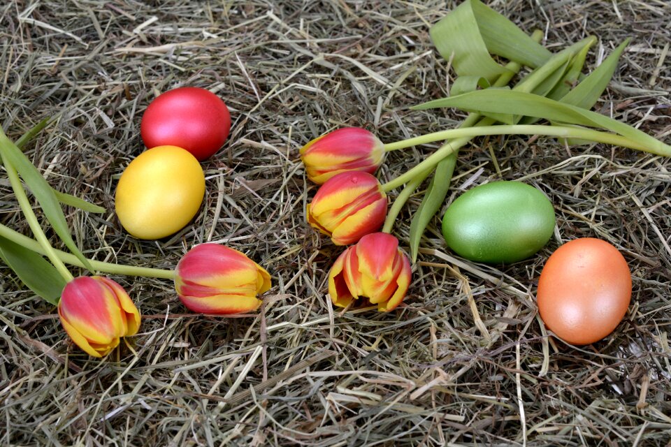 Cooked decoration tulips