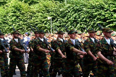 Fête nationale belge à Bruxelles le 21 juillet 2016 - Armée belge (Défense) 07