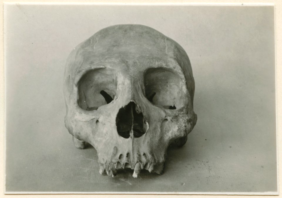 Föremål från Museo Arqueologico e Historico, Merida - SMVK - 0307.k.0042