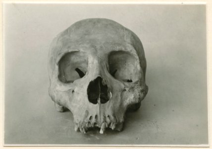 Föremål från Museo Arqueologico e Historico, Merida - SMVK - 0307.k.0042