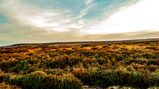 Nature scenery outdoor