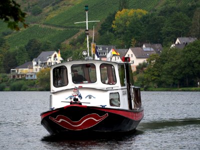 Fähre Alf-Bullay, ENI 04304840 at the Moselle river, photo 8