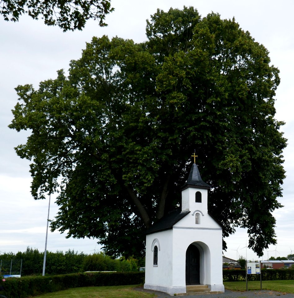 Fürstenberg - Antoniuskapelle, Antoniuslinde
