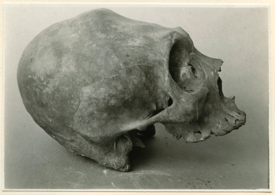 Föremål från Museo Arqueologico e Historico, Merida - SMVK - 0307.k.0041