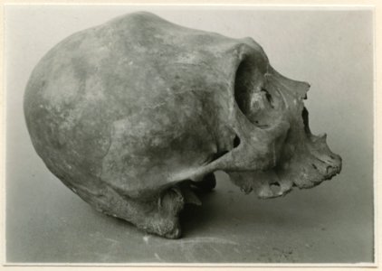 Föremål från Museo Arqueologico e Historico, Merida - SMVK - 0307.k.0041