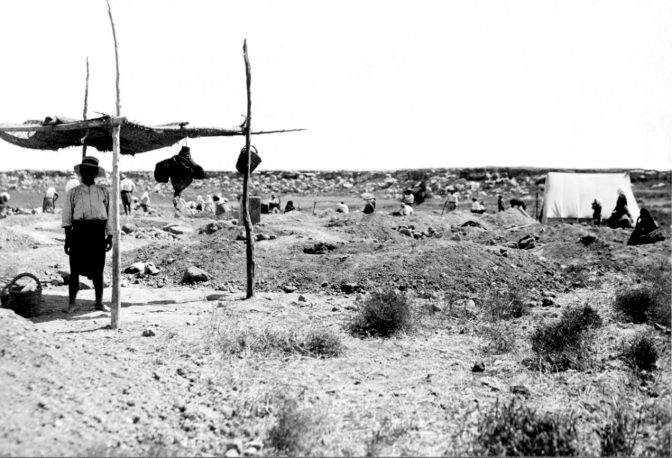 Fältbild. Enkomi - SMVK - C02485