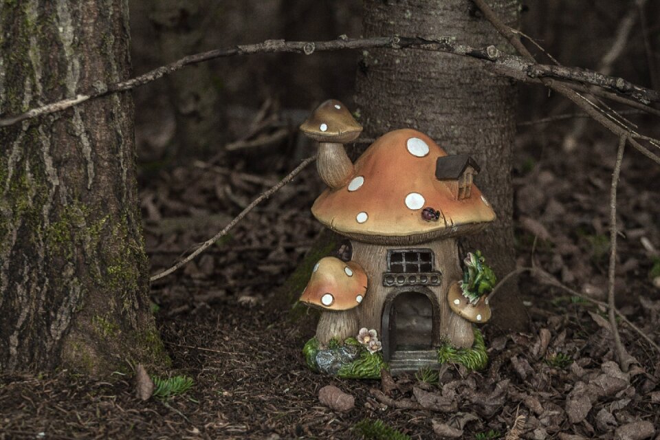 Mushroom forest brown house
