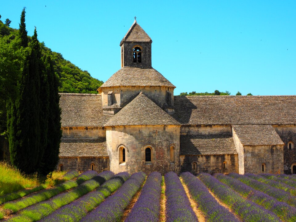 Vaucluse france cistercian monks
