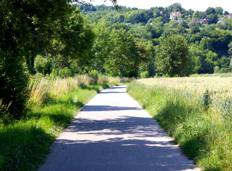 Fahrradweg-Jagsthausen-Berlichingen
