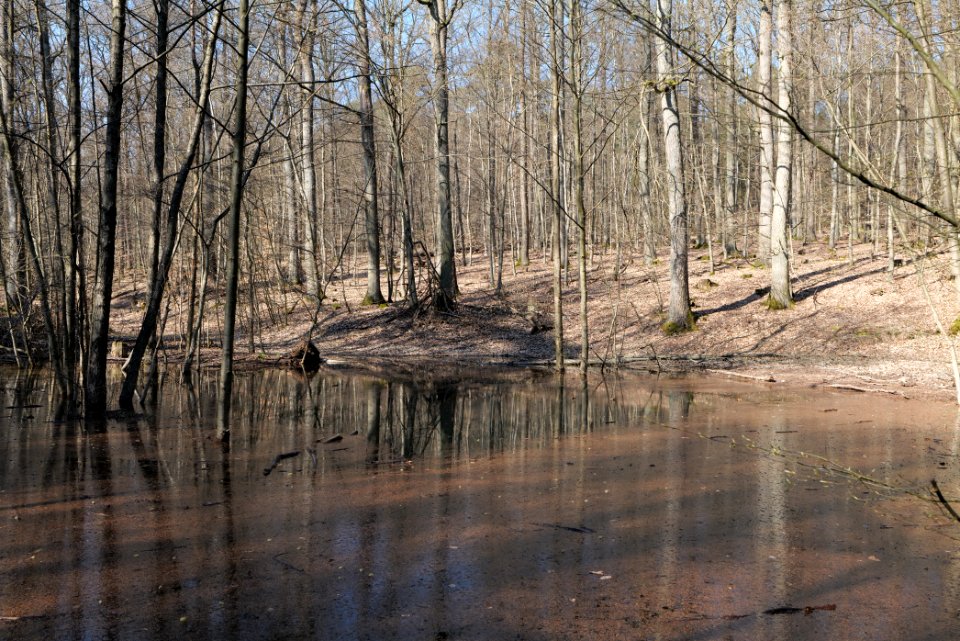 Fahrenbach Taunus 2021-04-02 08