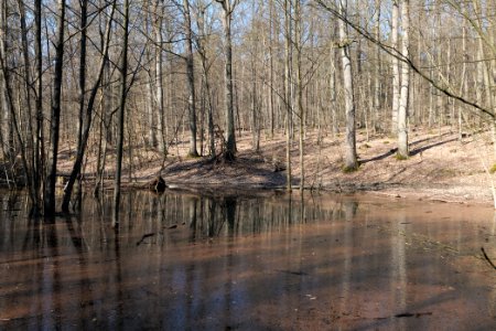 Fahrenbach Taunus 2021-04-02 08
