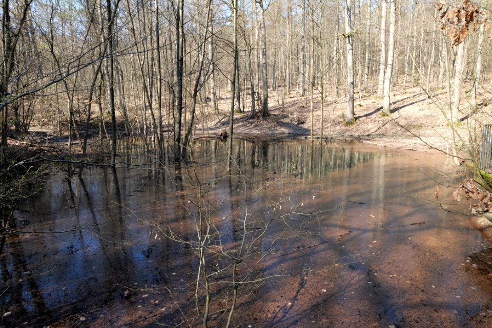 Fahrenbach Taunus 2021-04-02 01