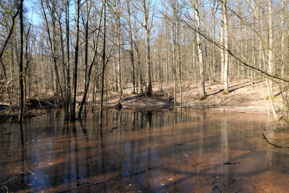 Fahrenbach Taunus 2021-04-02 07