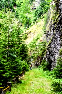 Fagaras Mountains Carpathians Romania 2017 (233304231)
