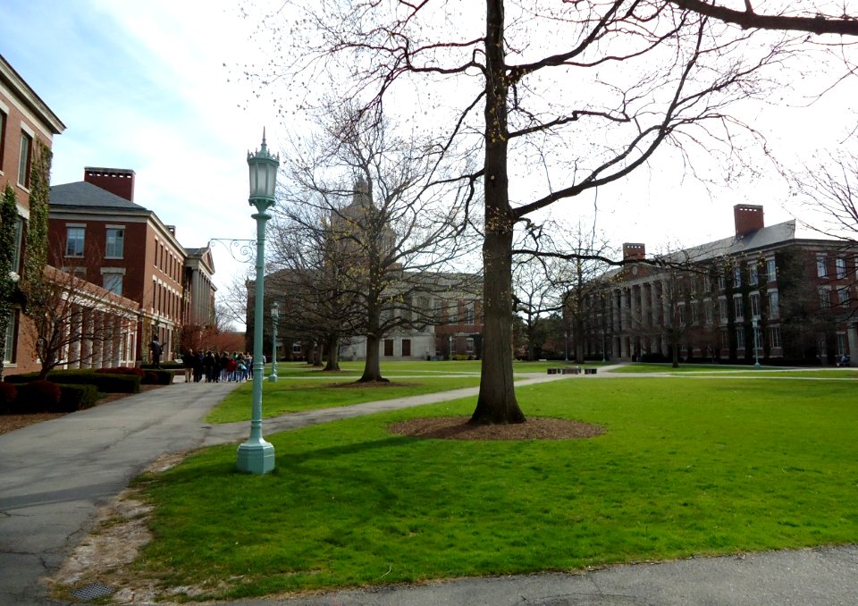 Facing library at the University of Rochester
