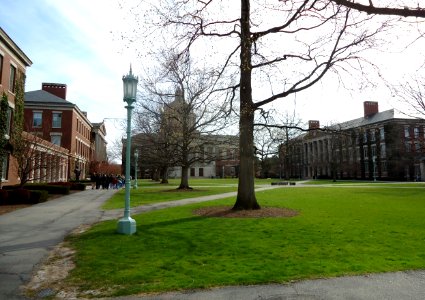 Facing library at the University of Rochester photo