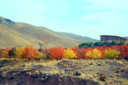 Fall In Qom Province-Qahan village-Autumn عکس های پاییز در استان قم - بخش های کهک - قاهان - کرمجگان - روستای انجیله - وصف - وشنوه 03