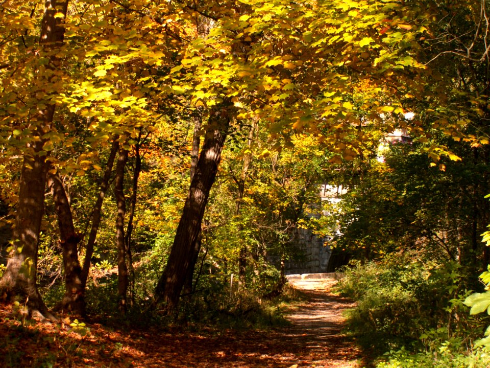 Fall colors, Seldom Seen, 2020-10-09, 04