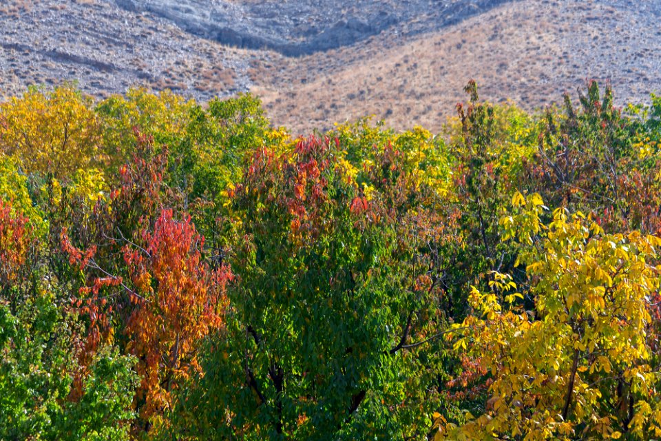 Fall In Qom Province-Qahan village-Autumn عکس های پاییز در استان قم - بخش های کهک - قاهان - کرمجگان - روستای انجیله - وصف - وشنوه 10