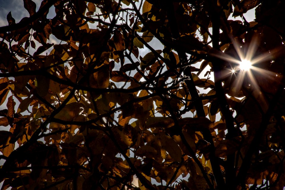 Fall In Qom Province-Qahan village-Autumn عکس های پاییز در استان قم - بخش های کهک - قاهان - کرمجگان - روستای انجیله - وصف - وشنوه 09