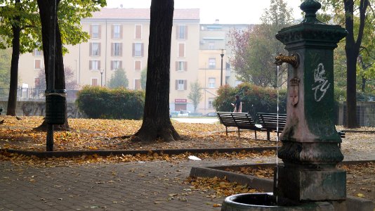 Fall Dergano 2017 (255817829)