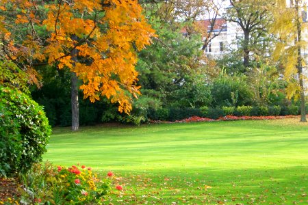 Fall in Jardin du Luxembourg