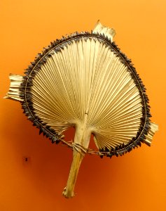 Fan, Viti Islands, 1876 - Ethnological Museum, Berlin - DSC01214