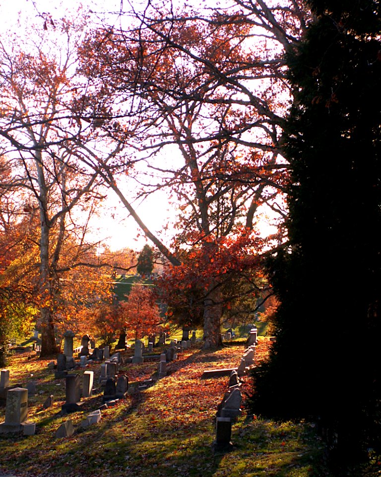 Fall landscape, Homewood Cemetery, 2020-11-10, 01