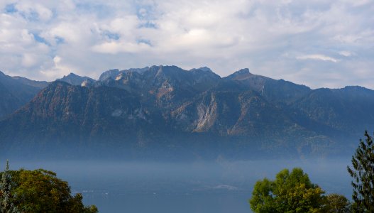 Fall View I (230179615)