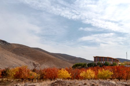 Fall In Qom Province-Qahan village-Autumn عکس های پاییز در استان قم - بخش های کهک - قاهان - کرمجگان - روستای انجیله - وصف - وشنوه 02