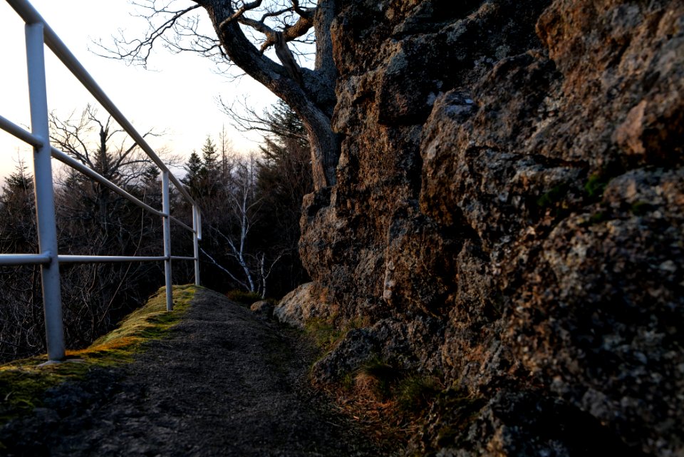 Falkenfelsen 2020-03-14 51