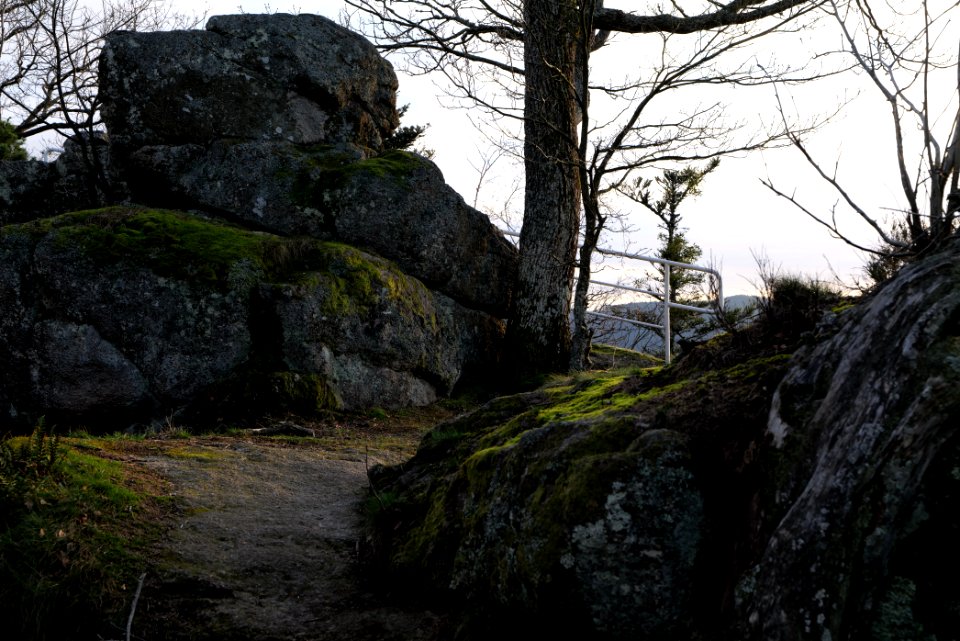 Falkenfelsen 2020-03-14 44