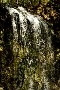 Falling Waters State Park 3