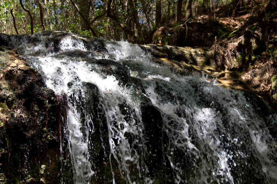 Falling Waters State Park 2