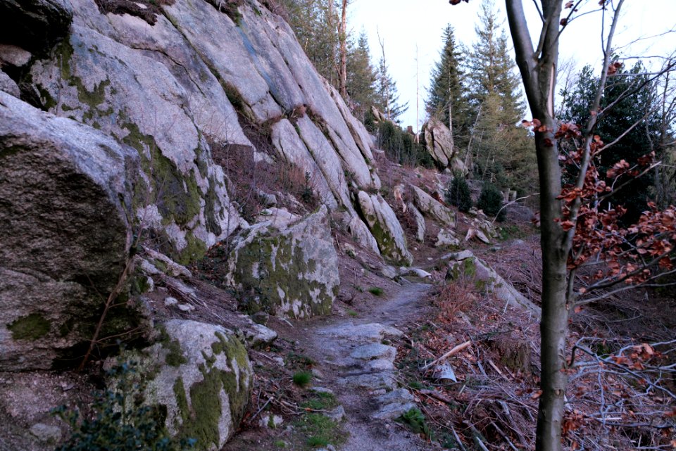 Falkenfelsen 2020-03-14 58