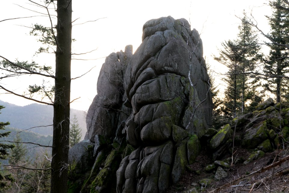Falkenfelsen 2020-03-14 35