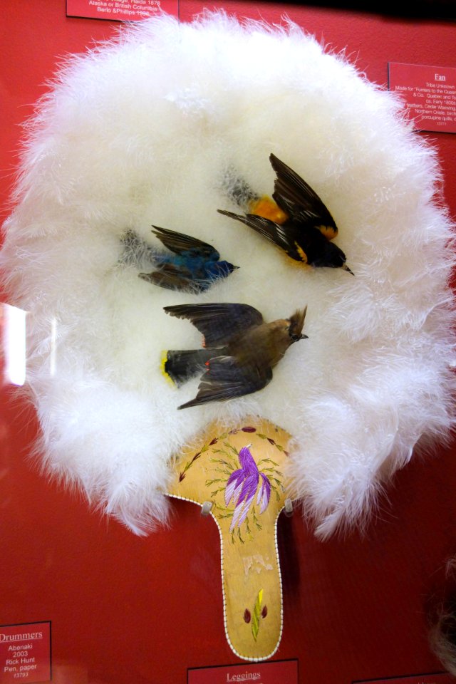 Fan, unknown tribe, for Furriers to the Queen, GR Renfrew & Co., Quebec & Toronto, early 1800s, egret, cedar waxwing, indigo bunting, northern oriole, birch, porcupine - Fairbanks Museum and Planetarium - DSC04333