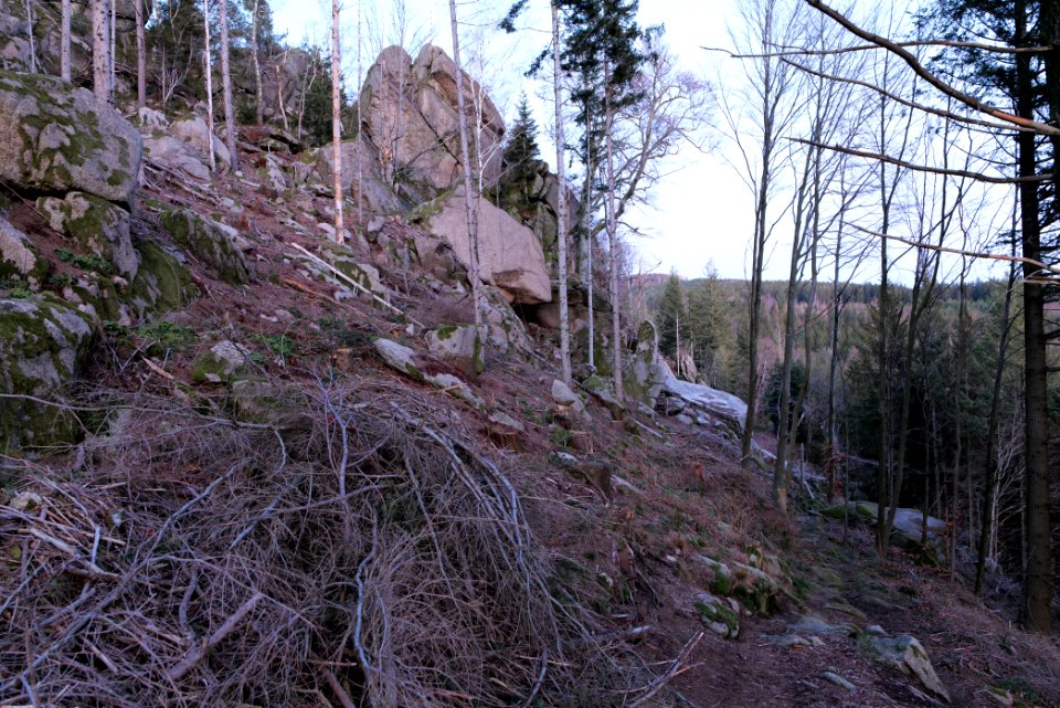 Falkenfelsen 2020-03-14 54