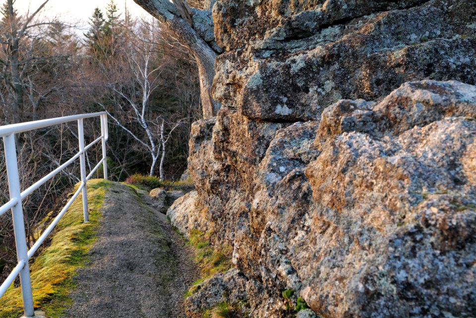 Falkenfelsen 2020-03-14 50