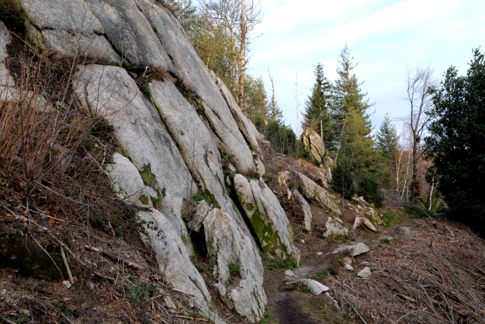 Falkenfelsen 2020-03-14 26