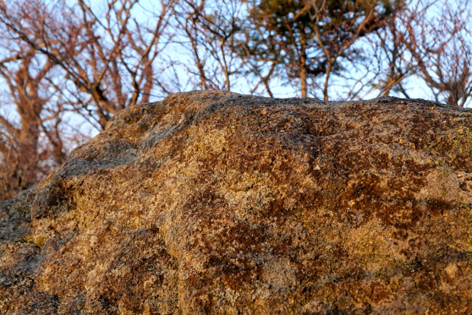 Falkenfelsen 2020-03-14 48