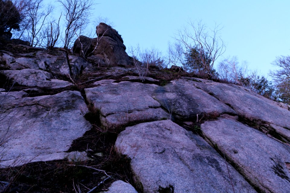 Falkenfelsen 2020-03-14 59